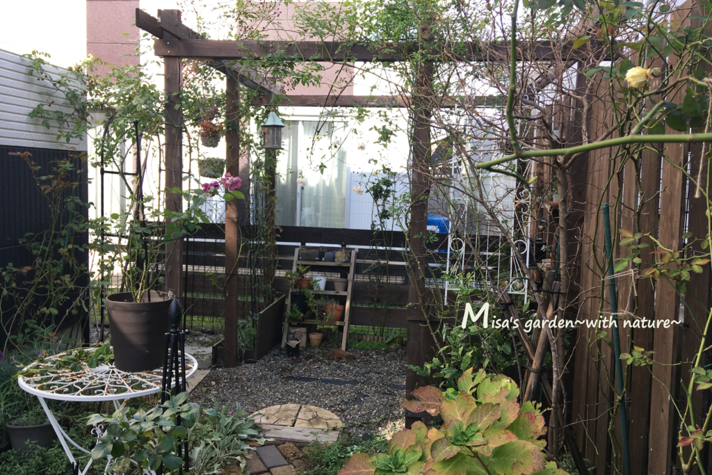 misa's garden