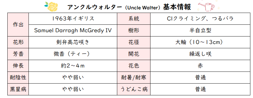 アンクルウォルター基本情報